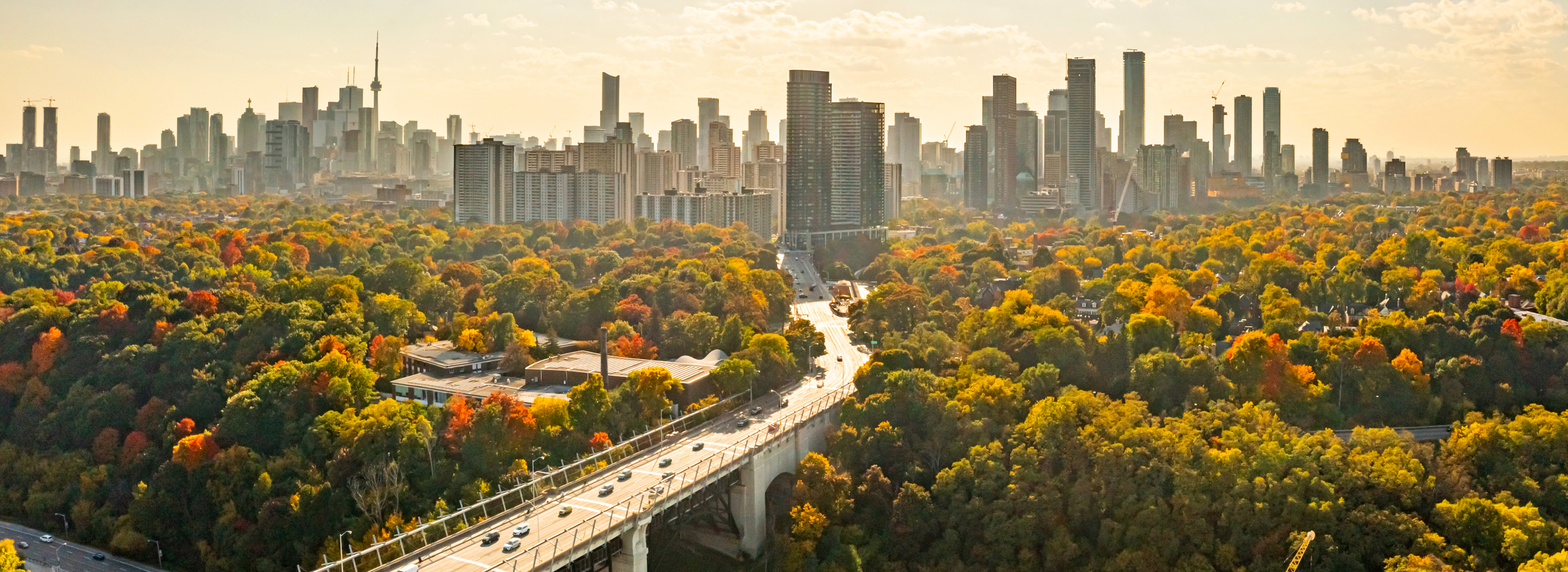 Aerial view of a city skyline surrounded by dense autumn foliage and a busy bridge running through the forested area.