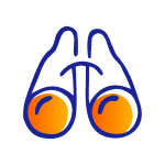 Binoculars symbolizing a discover icon.